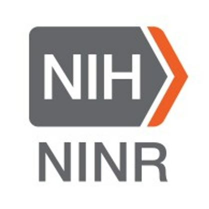 Firearm Injury Prevention: State of the Science and the Potential of Nurse-Led Research
