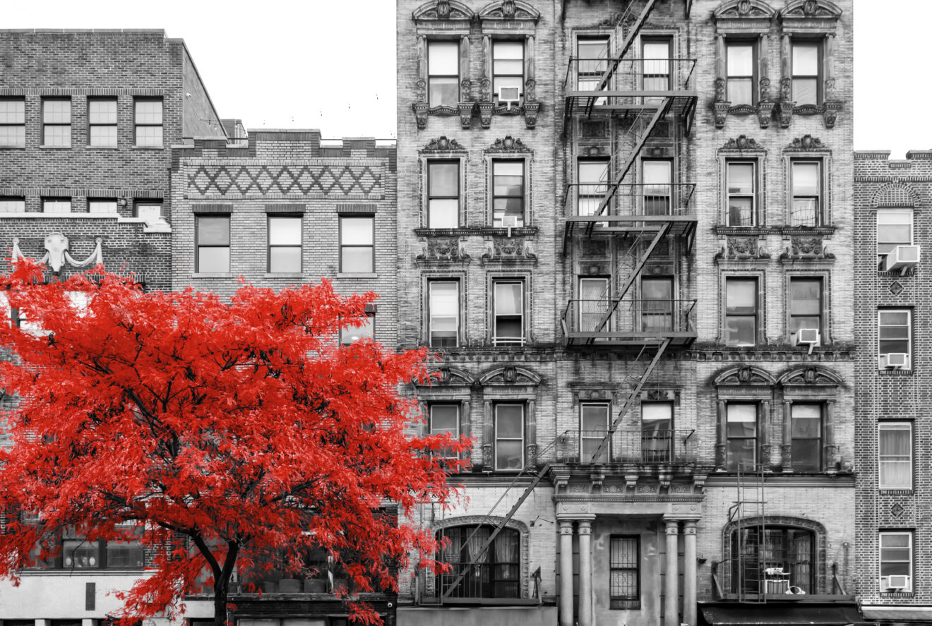 Red tree in black and white street scene in the East Village of