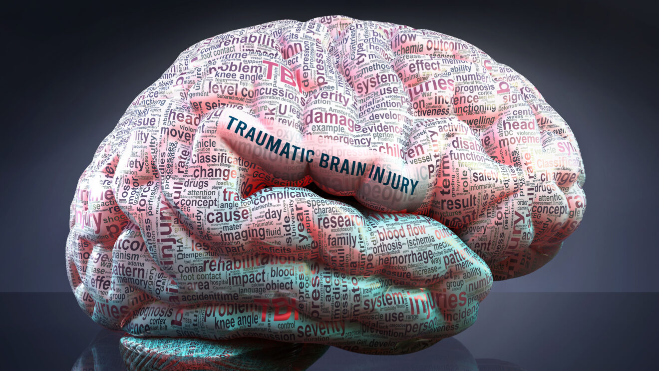 Traumatic brain injury in human brain, hundreds of terms related