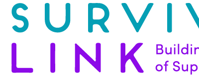 Building Public Health Capacity for IPV